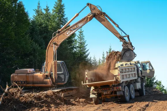 كازينو إستريلا الدعم